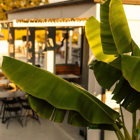 Terra Olivia Luxury And Villa *