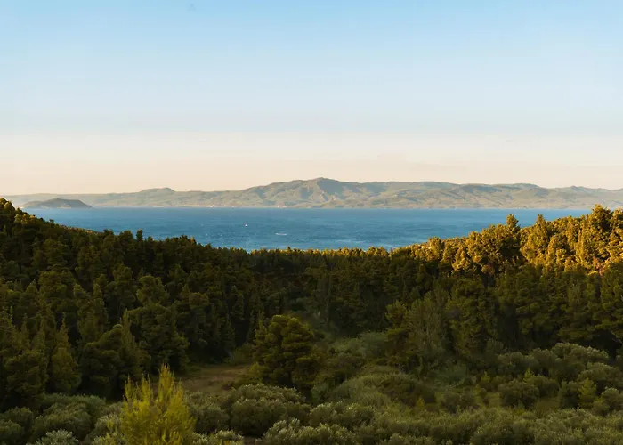 Terra Olivia Luxury And Villa Paliouri