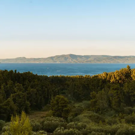 Terra Olivia Luxury And Vilă Paliouri