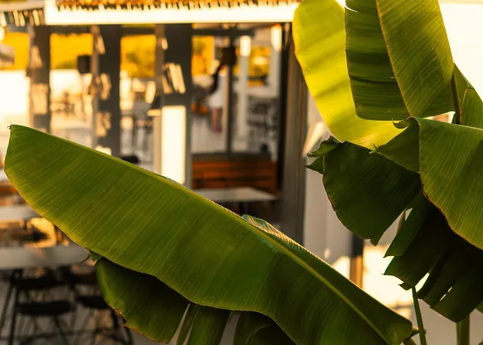 Terra Olivia Luxury And Vilă *